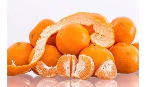 CAN DOGS EAT MANDARINS?