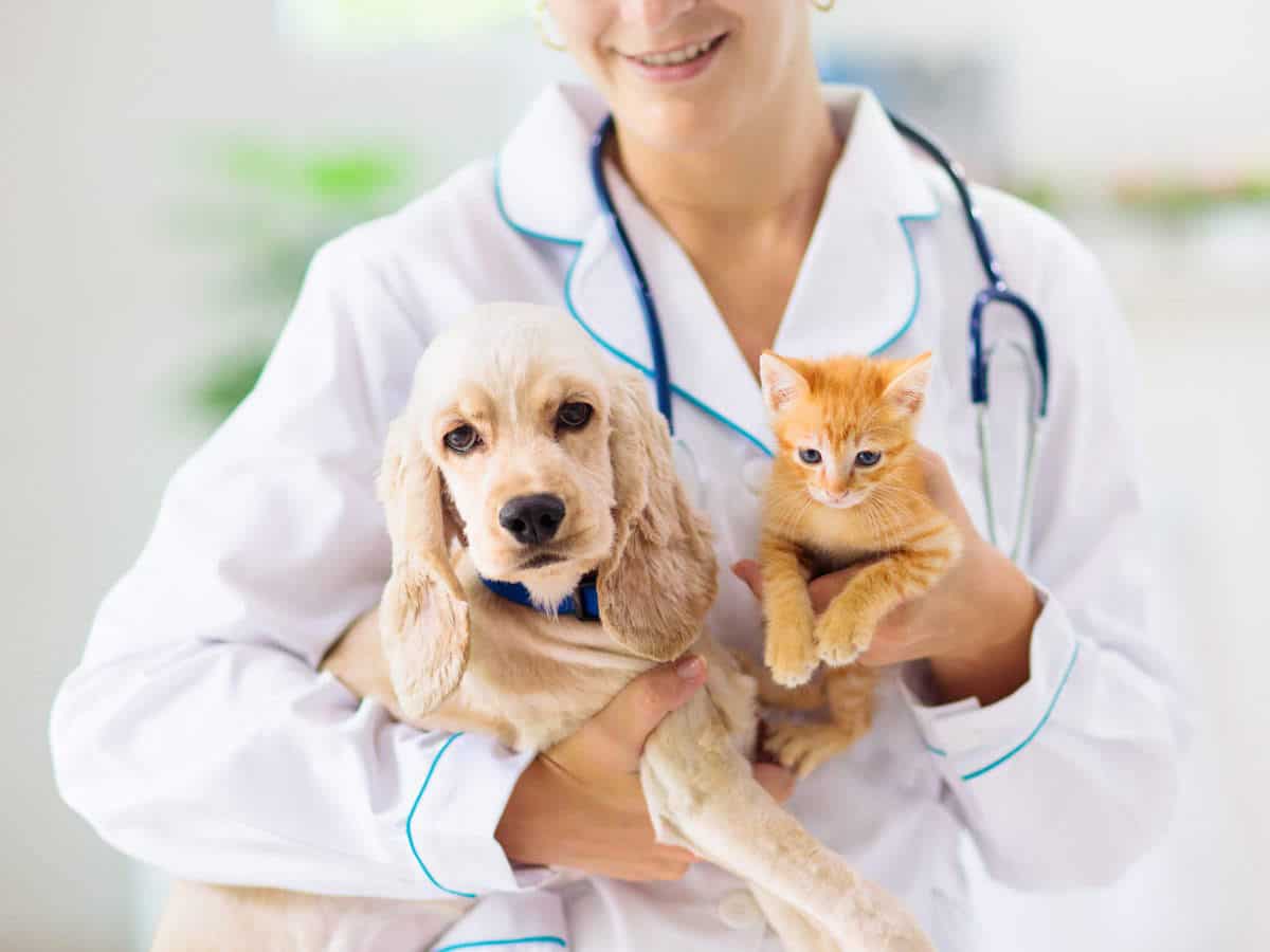 what is pet insurance