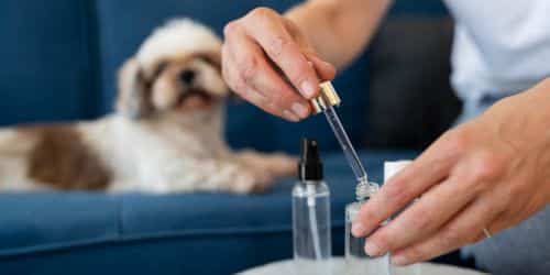 is hydrogen peroxide safe for dogs