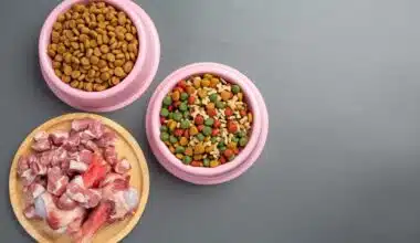 High Protein Puppy Food